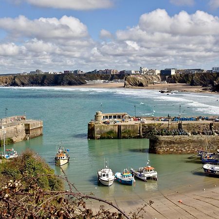 1 Harbour View New Quay Exterior foto